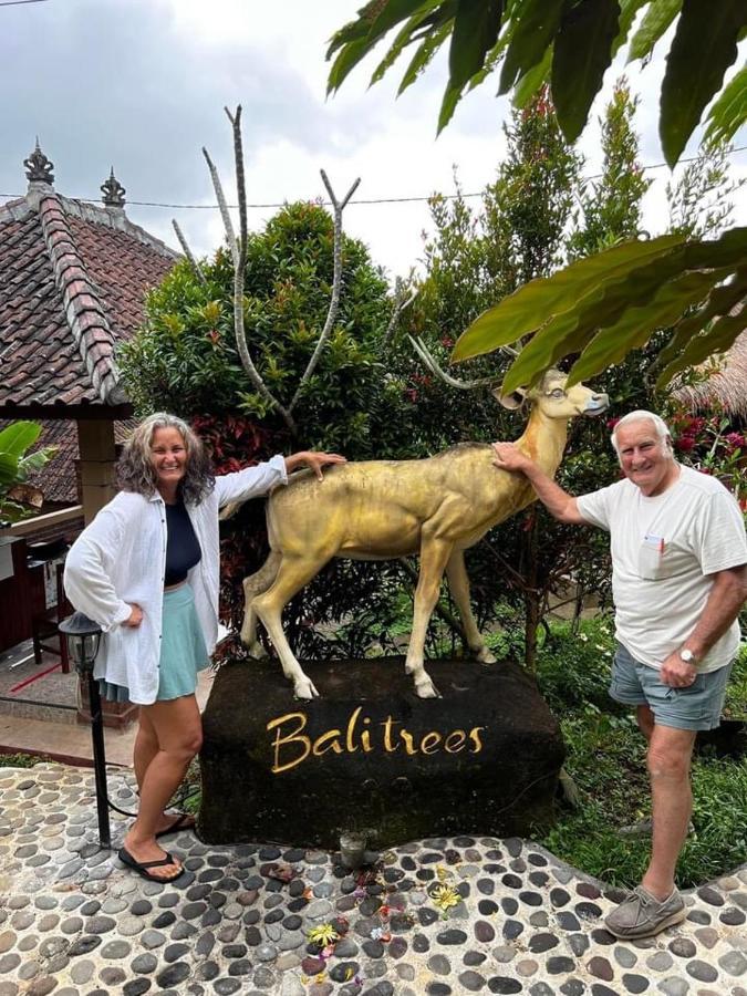 Balitrees Retreats Hotel Selemadeg  Bagian luar foto