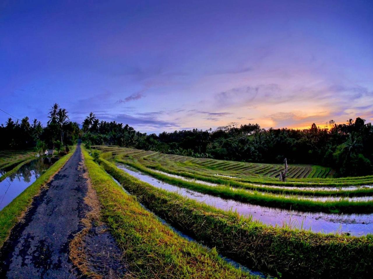 Balitrees Retreats Hotel Selemadeg  Bagian luar foto