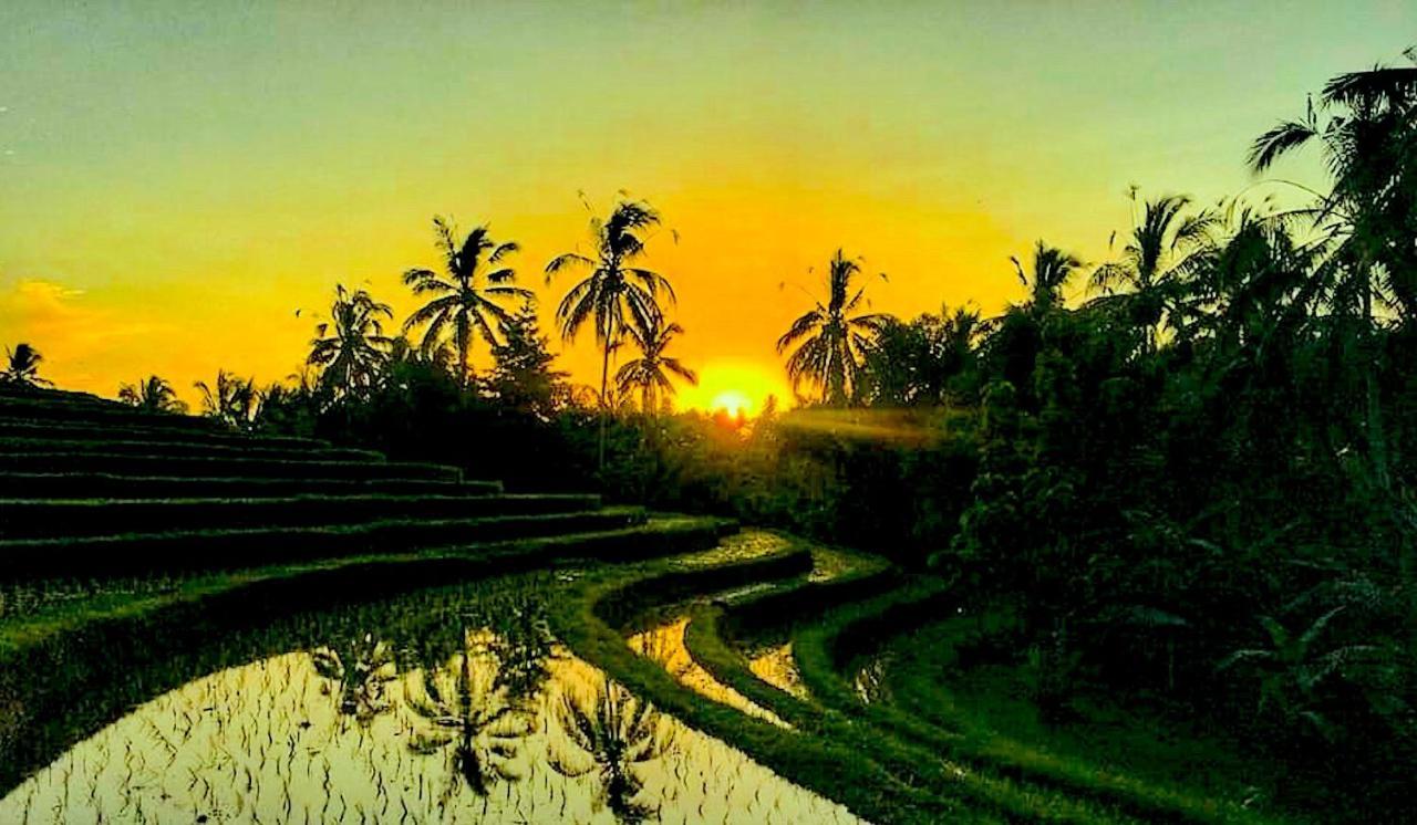 Balitrees Retreats Hotel Selemadeg  Bagian luar foto
